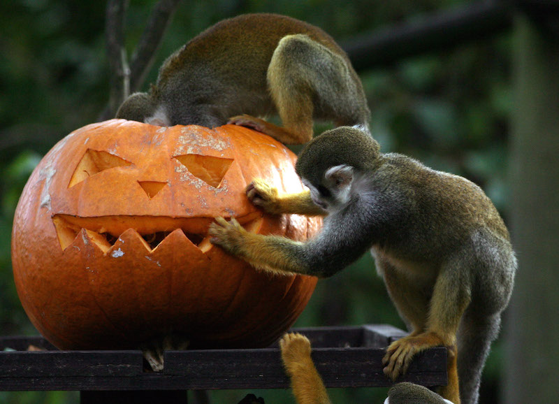 Image via Getty.